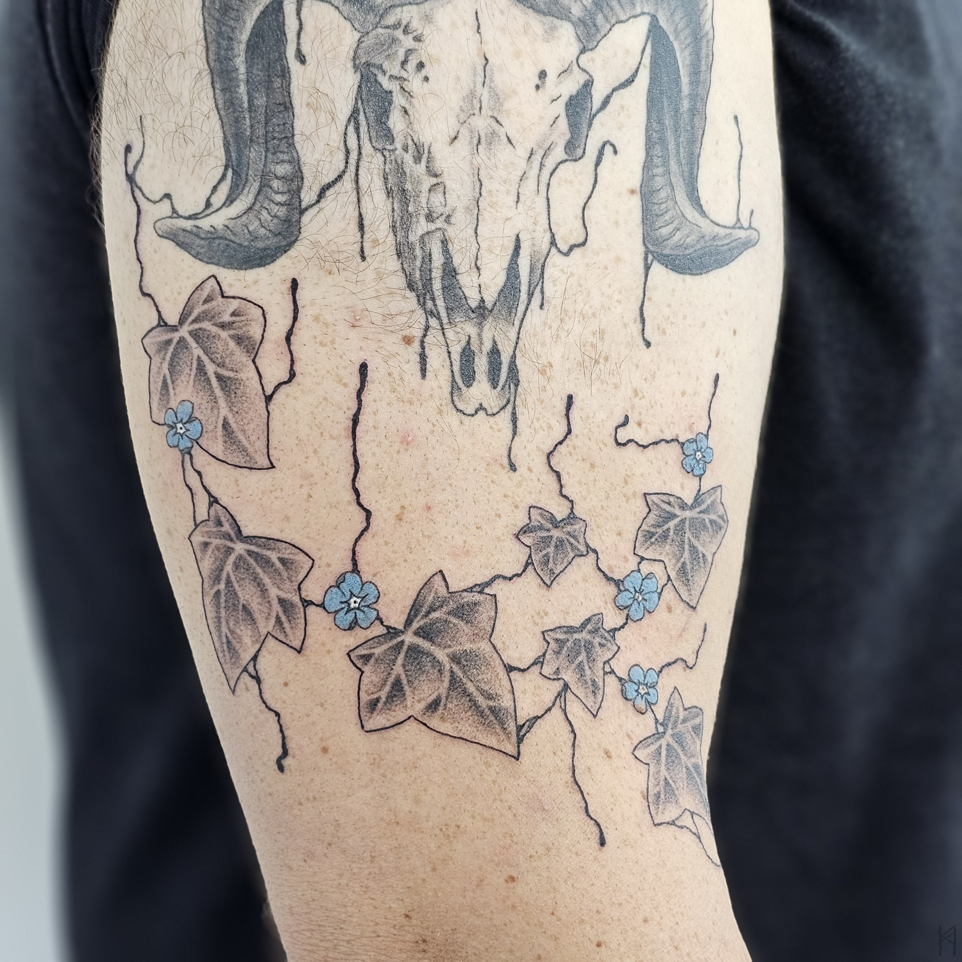 Efeu Tattoo am Arm – Fräulein Hedera, Herrenberg