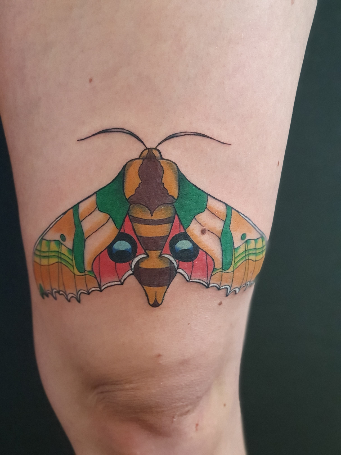 Falter Tattoo am Bein – Fräulein Hedera, Herrenberg