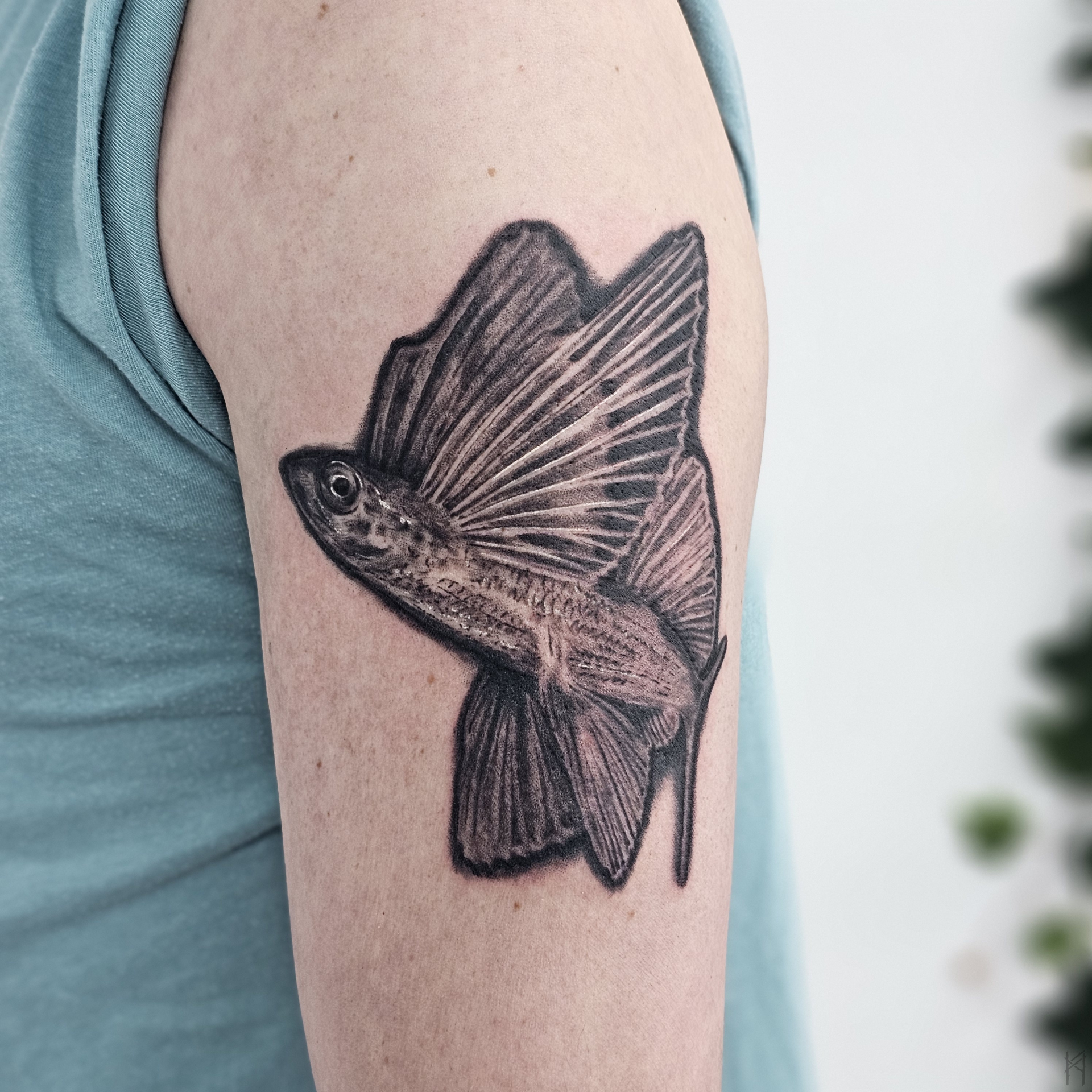 Fliegender Fisch Tattoo am Arm – Fräulein Hedera, Herrenberg