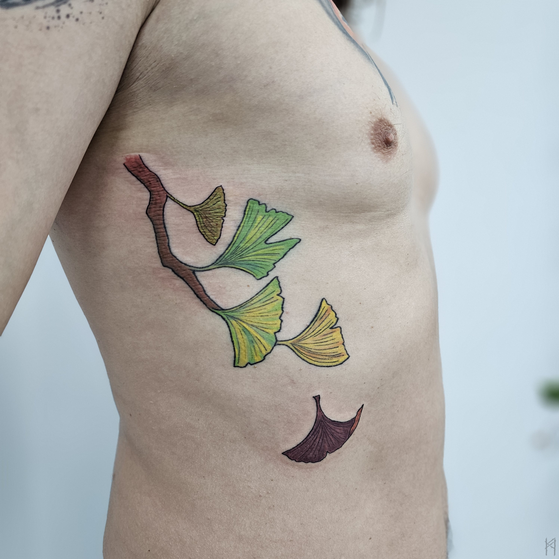 Ginkgo Tattoo an der Rippe – Fräulein Hedera, Herrenberg