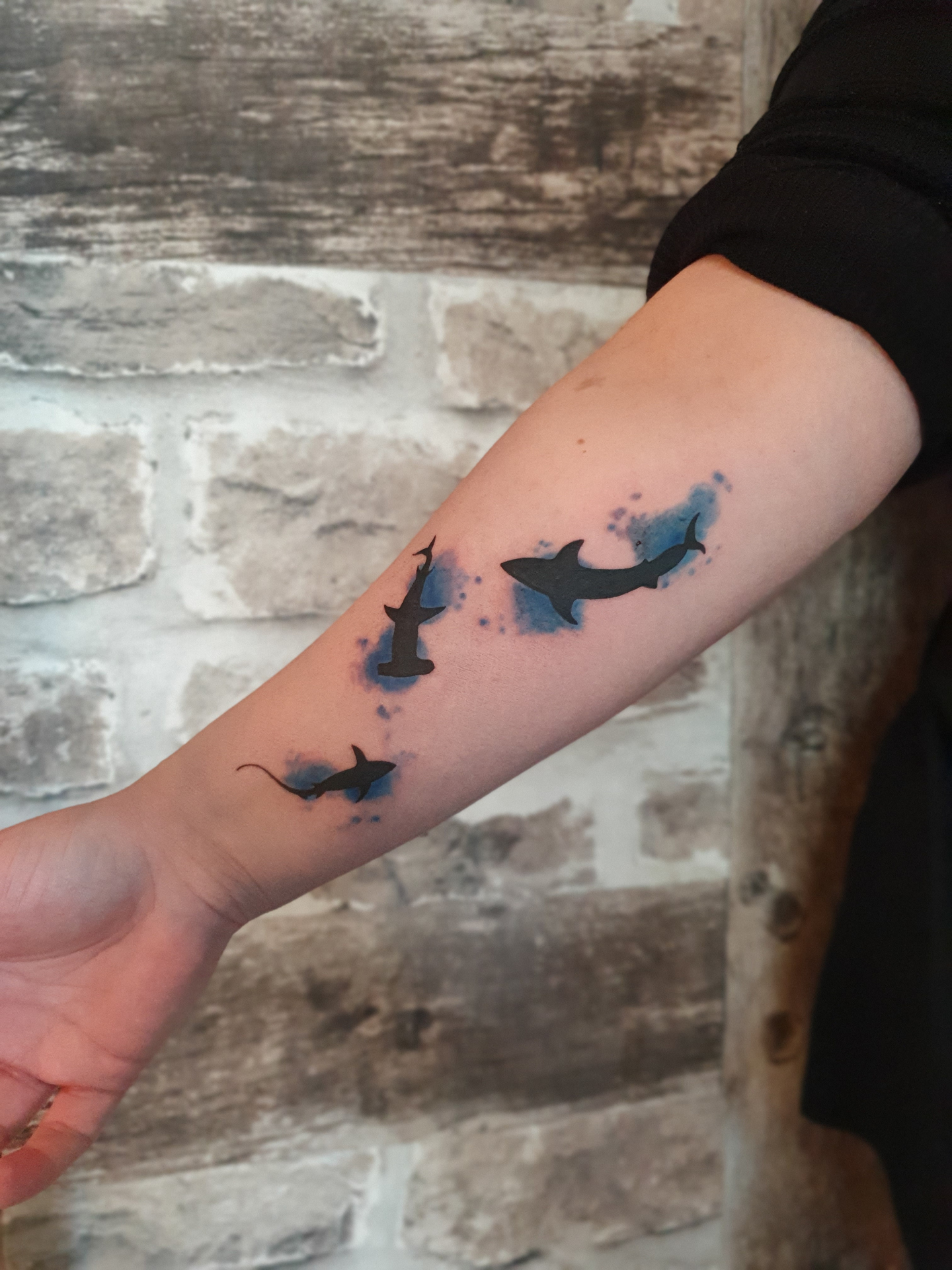 Haie Tattoo am Arm – Fräulein Hedera, Herrenberg