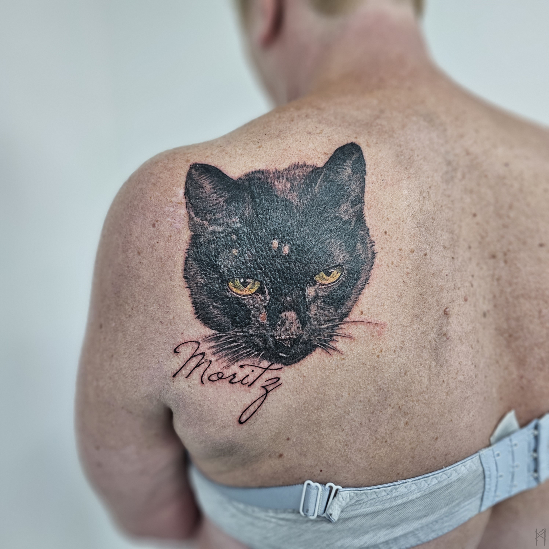 Katze Tattoo an der Schulter – Fräulein Hedera, Herrenberg