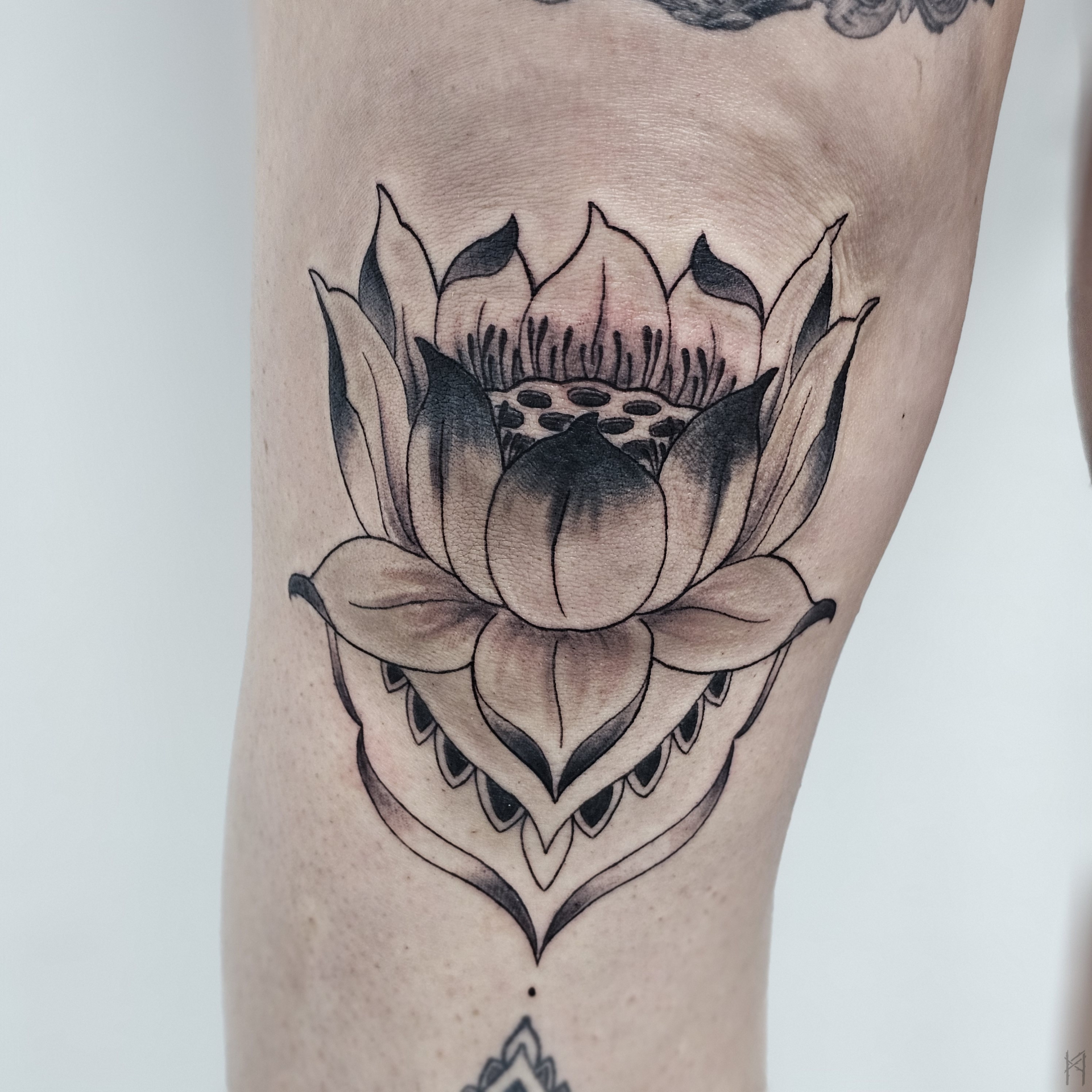 Lotus Tattoo am Knie – Fräulein Hedera, Herrenberg