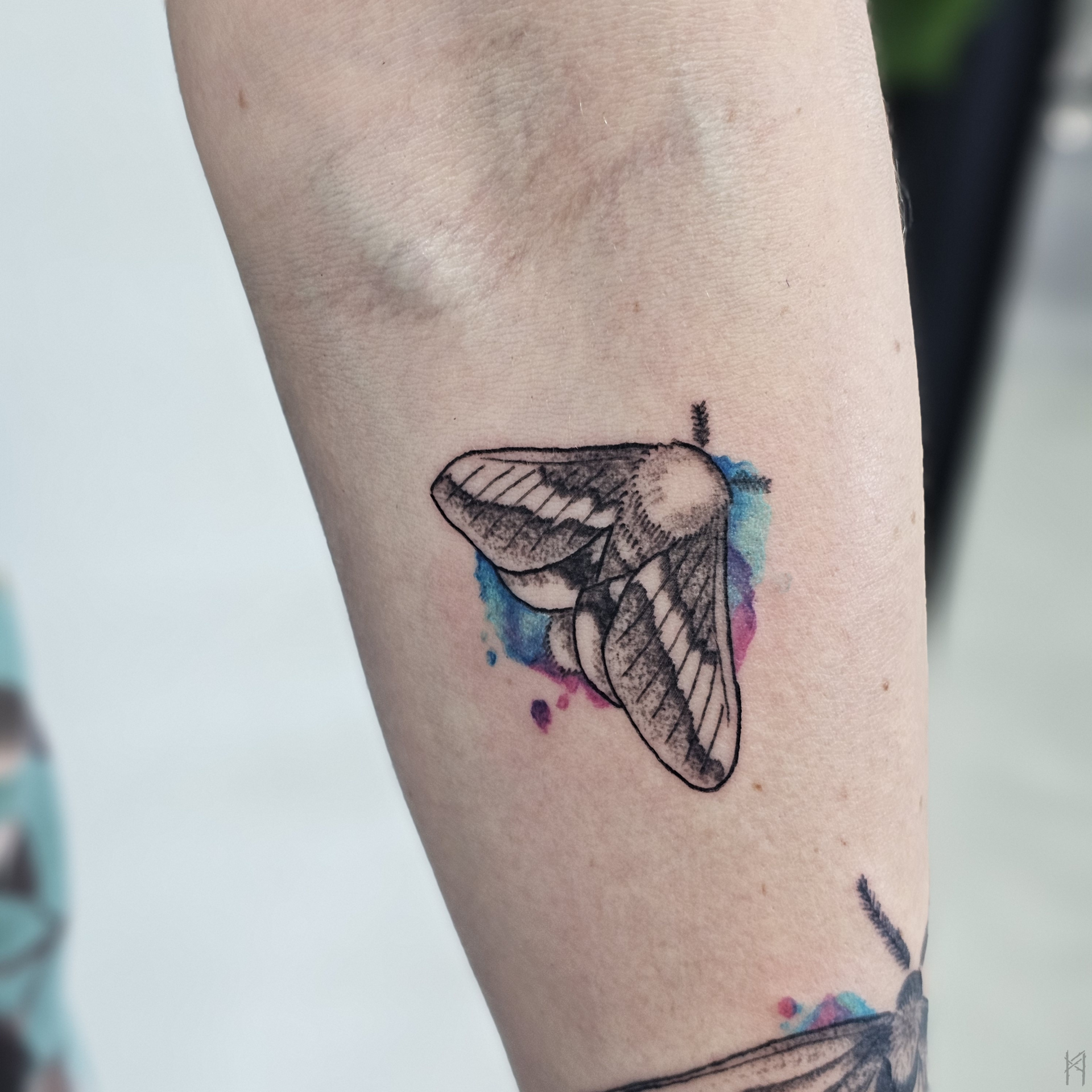 Motte Tattoo am Arm – Fräulein Hedera, Herrenberg