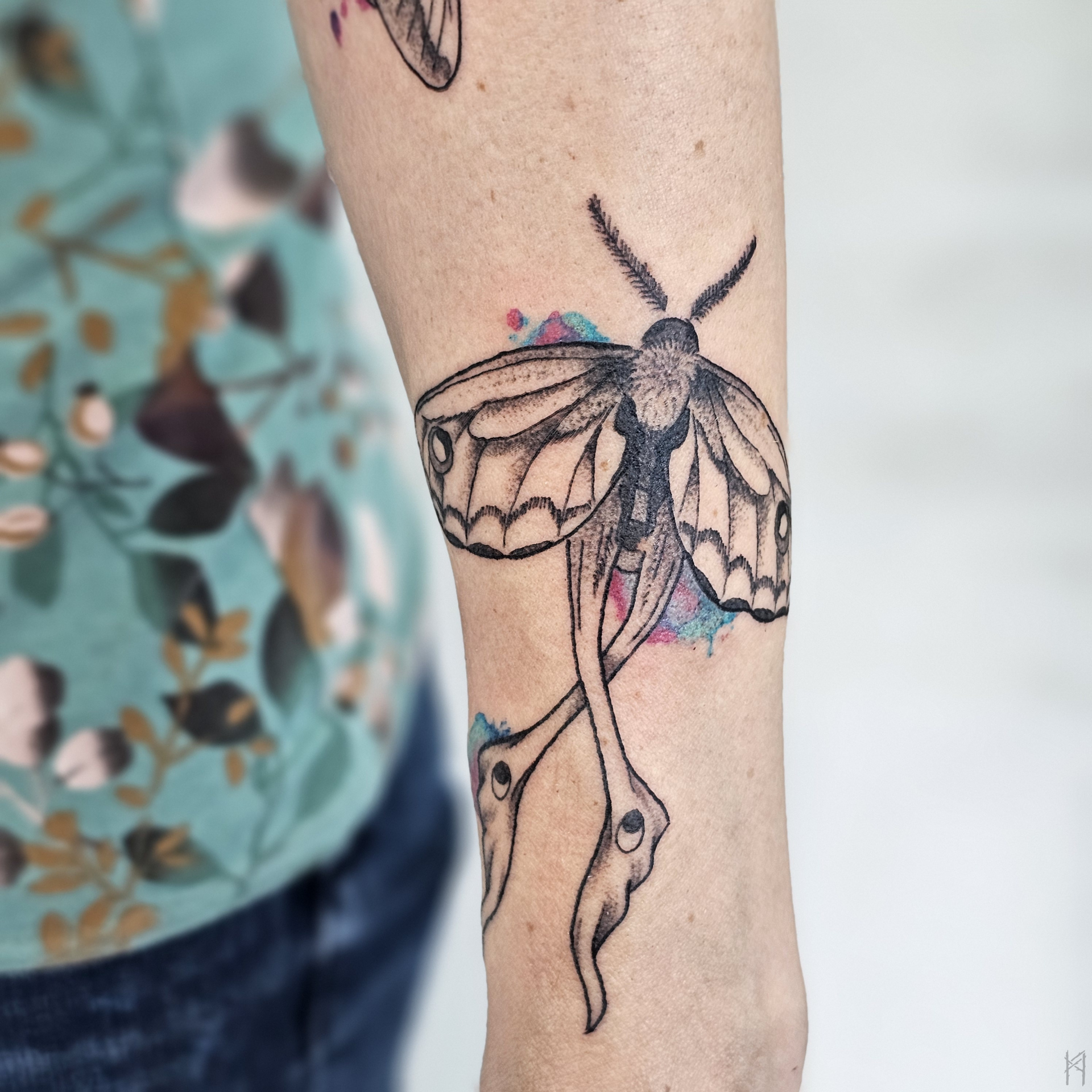 Motte Tattoo am Arm – Fräulein Hedera, Herrenberg