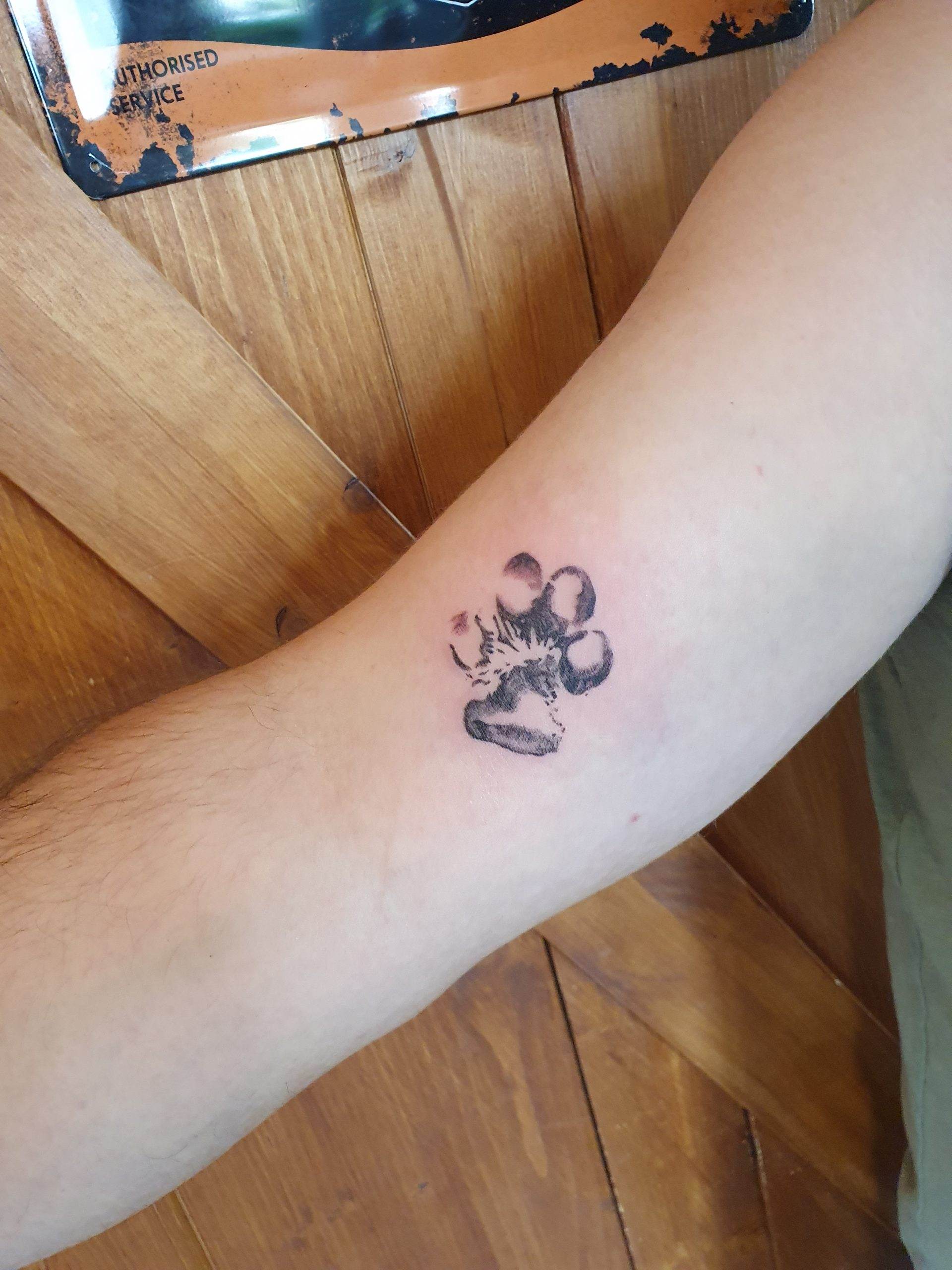 Pfote Tattoo am Arm – Fräulein Hedera, Herrenberg