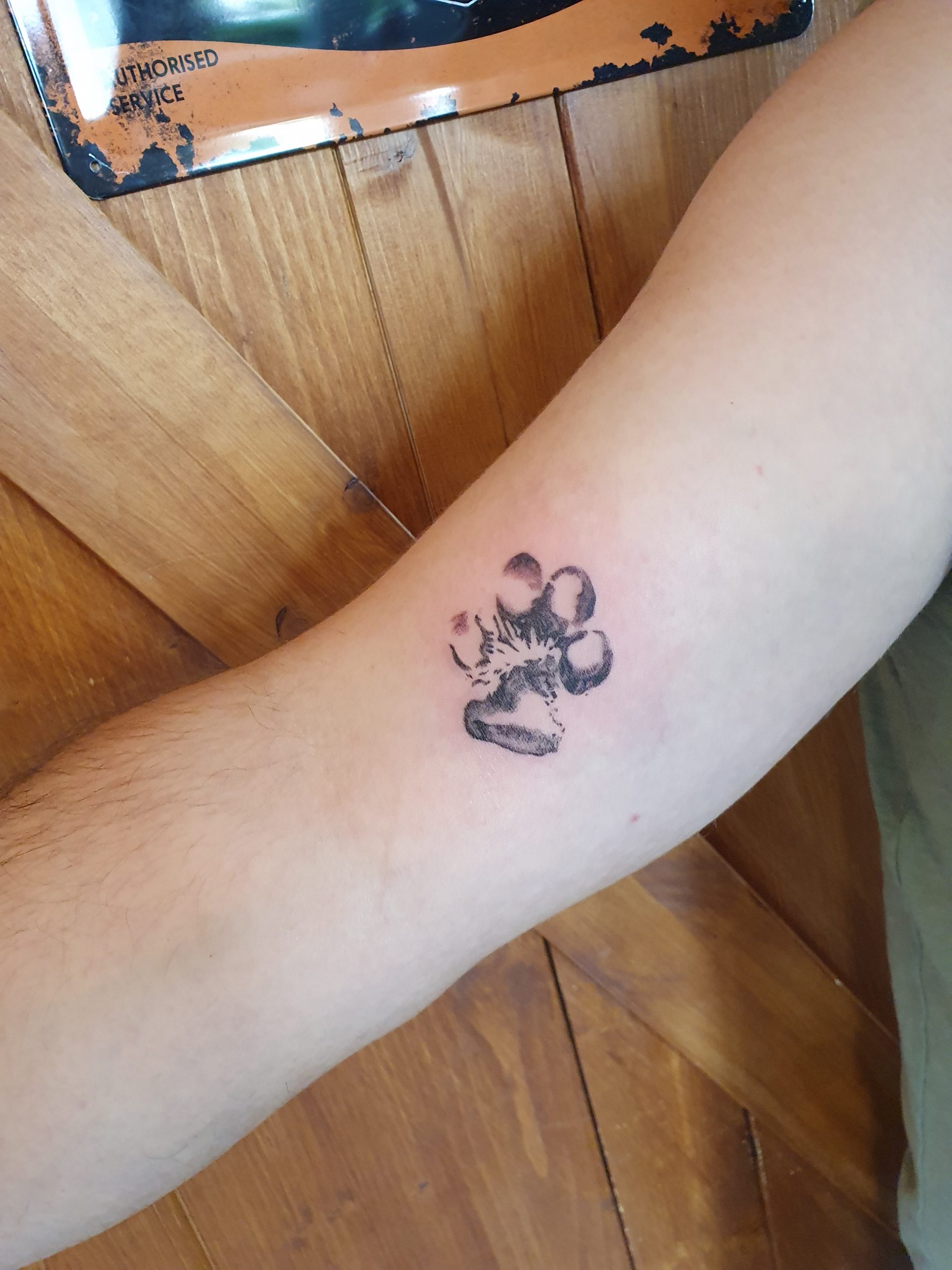 Pfote Tattoo am Arm – Fräulein Hedera, Herrenberg