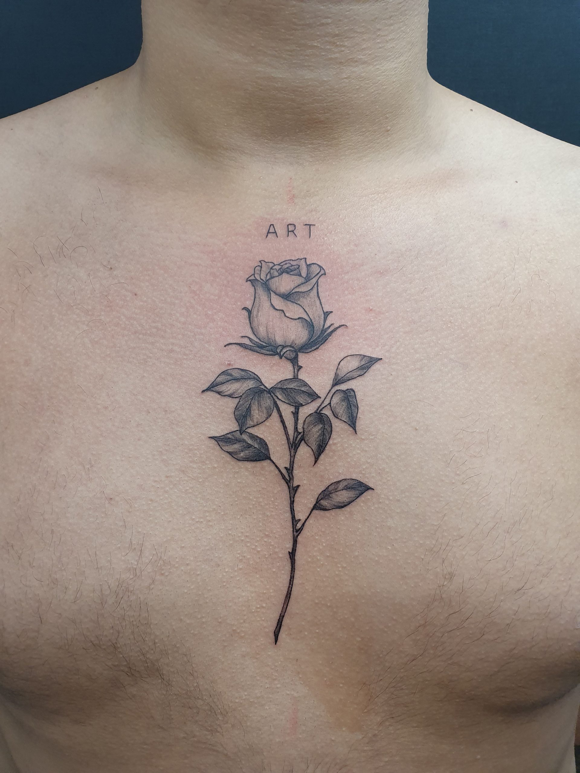 Rose Tattoo an der Brust – Fräulein Hedera, Herrenberg