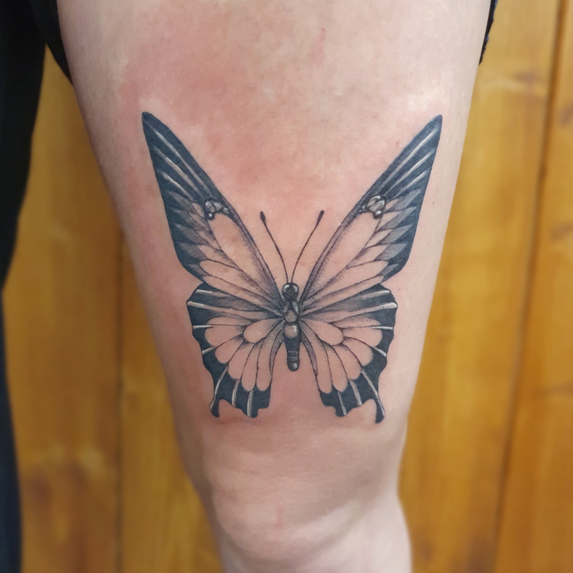 Schmetterling Tattoo am Bein – Fräulein Hedera, Herrenberg