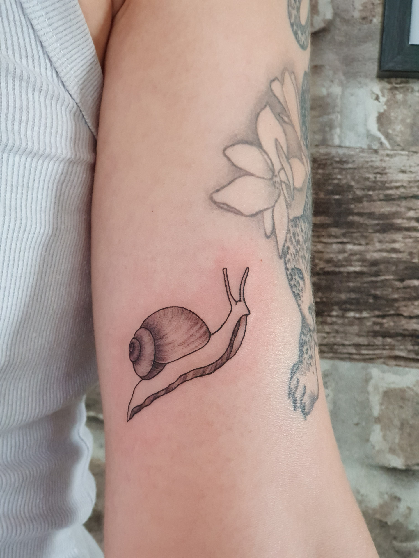 Schnecke Tattoo am Arm – Fräulein Hedera, Herrenberg