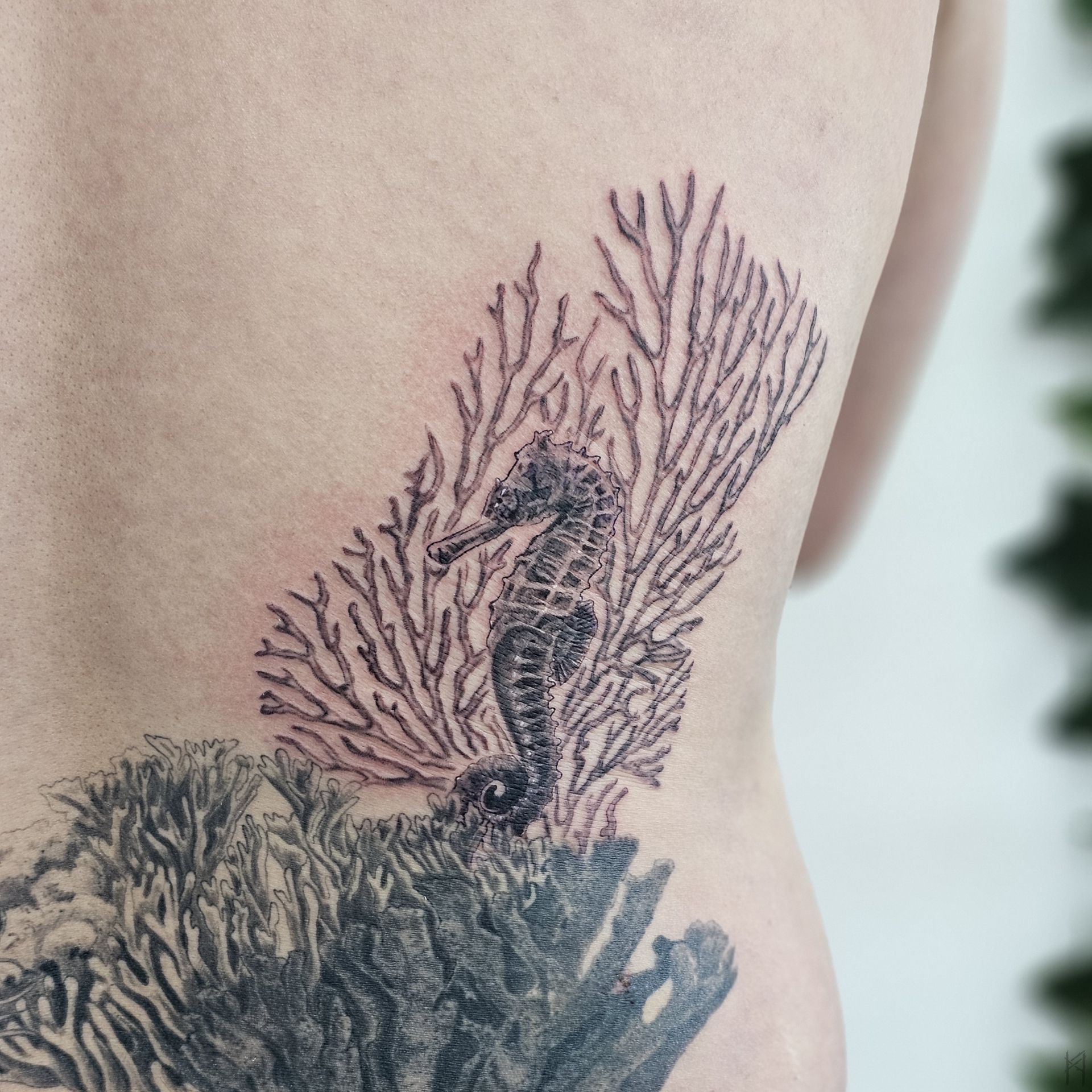 Seepferd Tattoo am Rücken – Fräulein Hedera, Herrenberg